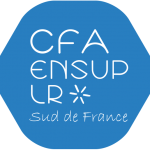 CFA ENSUP LR bleu sans fond